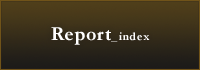 Report index